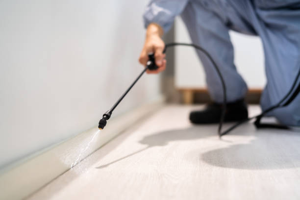 Licensed Pest Control service in DeWitt, MI - Show Me Pest Control