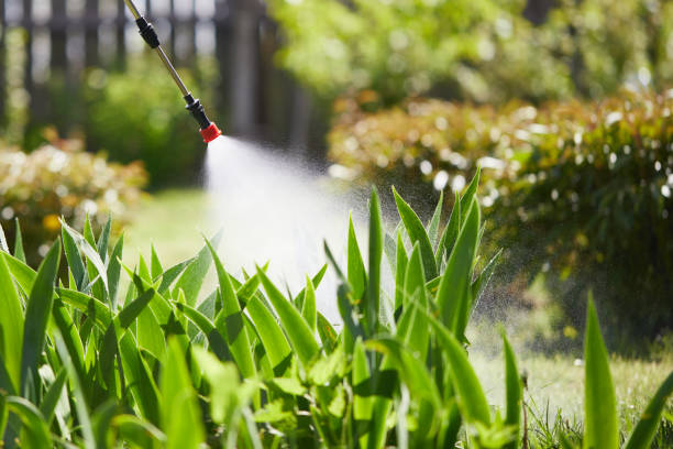 24/7 Emergency Wasp Removal experts in DeWitt, MI