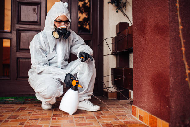 Reliable Wasp Removal contractor in DeWitt, MI by Show Me Pest Control